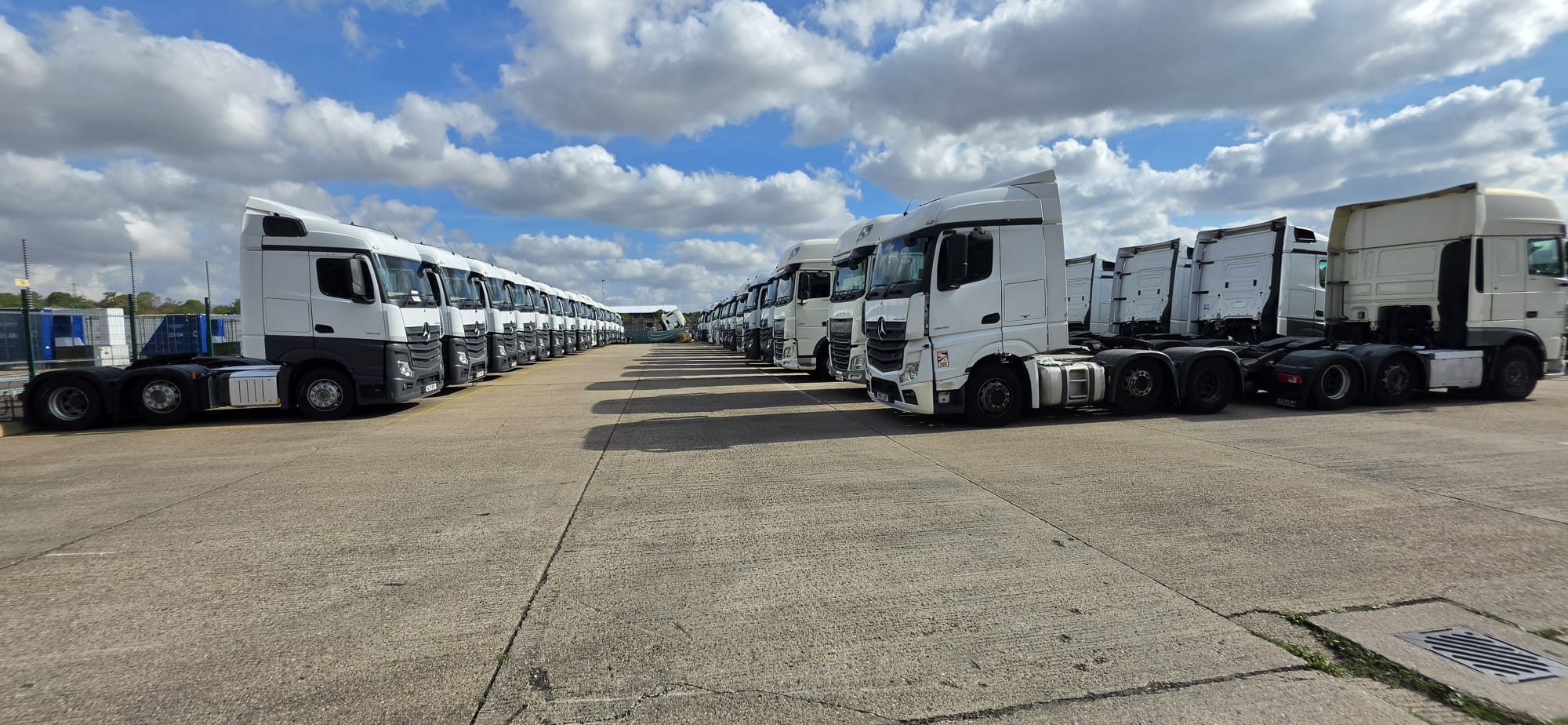 DAF and Mercedes Actros trucks lined up